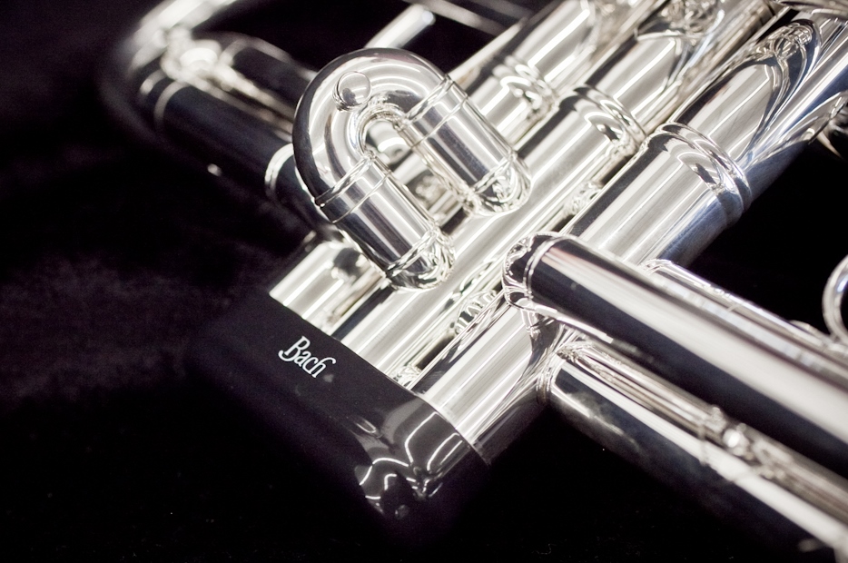 Band Orchestra Instrument Flute Clarinet Saxophone Trumpet Trombone Violin